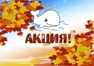 АКЦИЯ!
